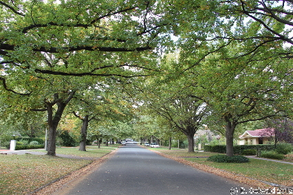 ANZACDAY20120425 113557