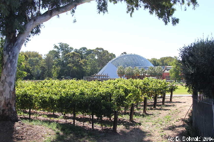 Hahndorf20140228 161928