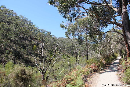MtLofty20140302 152848