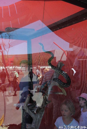 AustraliaDay20140126 130949