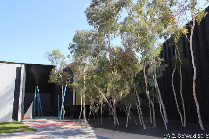 AustraliaDay20150126 162530