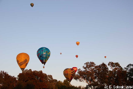 BalloonSpectacular20140310 070958