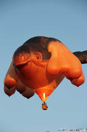 BalloonSpectacular20140310 071144