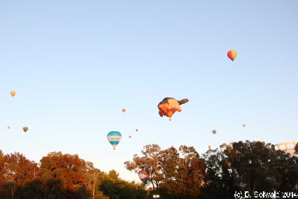 BalloonSpectacular20140310 071234