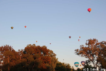 BalloonSpectacular20140310 071357