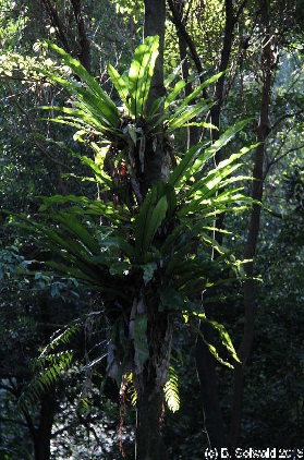 BotanicGardens20150808 142037