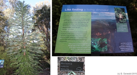 BotanicGardens20150808 144454