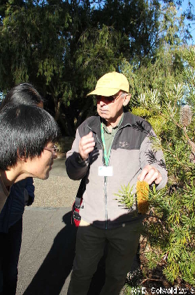 BotanicGardens20150808 150540