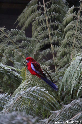 BotanicGardens20150808 154757