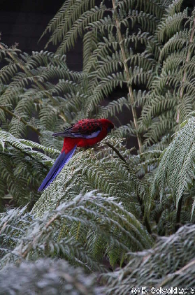 BotanicGardens20150808 154817