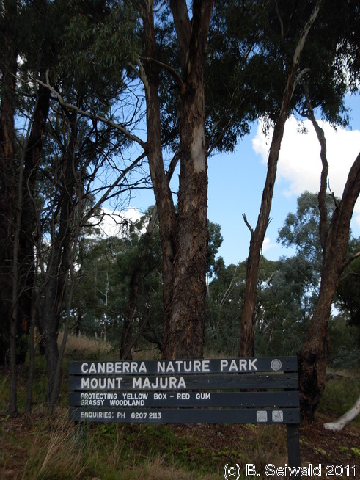 Canberra 20110312 054703