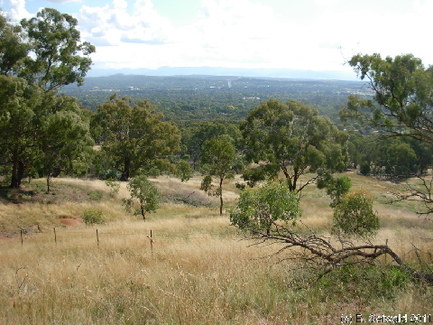 Canberra 20110312 061709