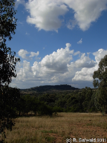 Canberra 20110312 063818