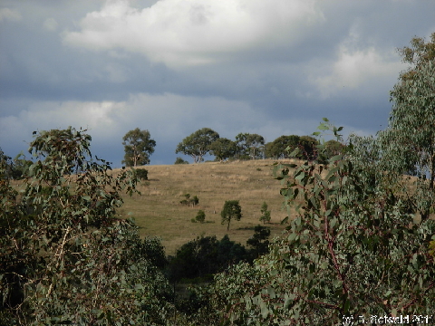 Canberra 20110312 070458