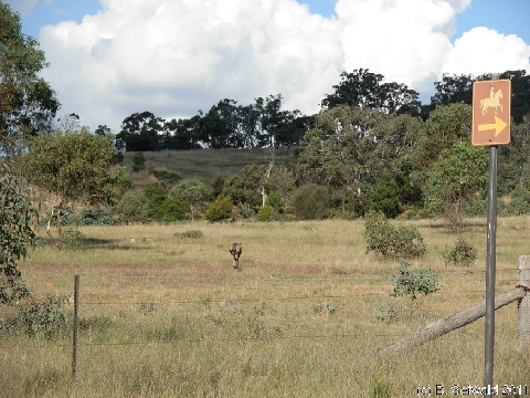 Canberra 20110312 070709