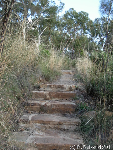 Canberra 20110312 073950