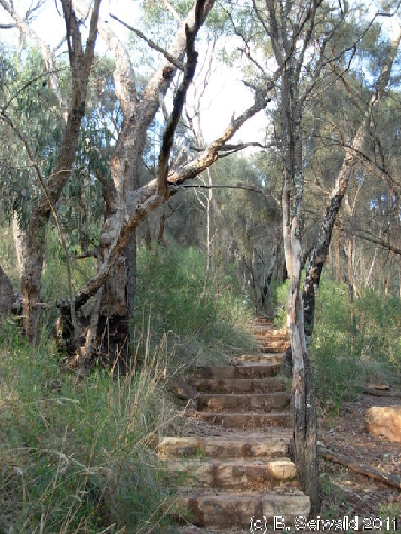 Canberra 20110312 074342