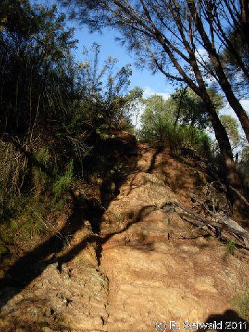 Canberra 20110312 081136