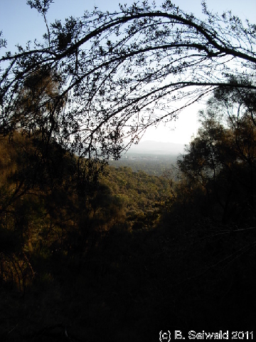 Canberra 20110312 183429