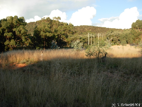 Canberra 20110312 185215