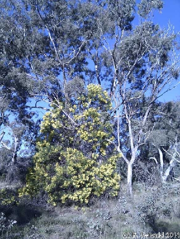 CM20110828 163036