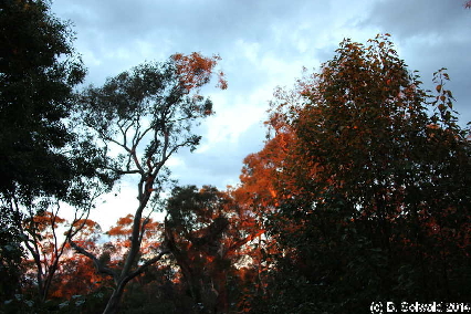 CM20130127 200515