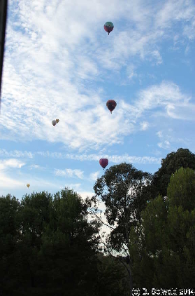 CM20130309 074316