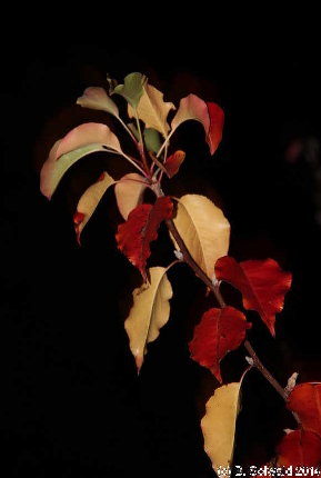 CM20130412 195155