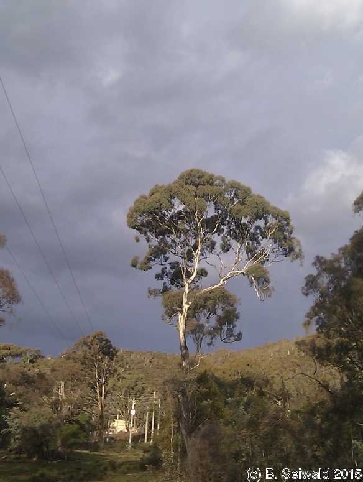 CM20150425 164749