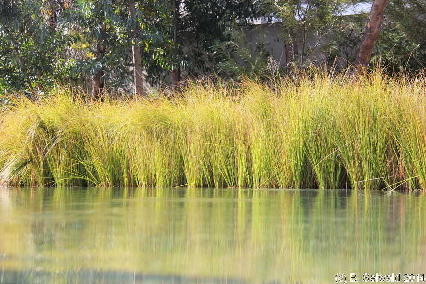 Canberra20140823 135736