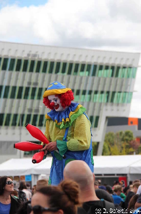 CanberraAirportOpenDay20140406 123054