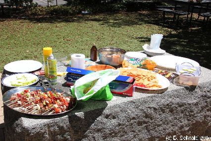 ChineseNewYearBBQ20140127 130059