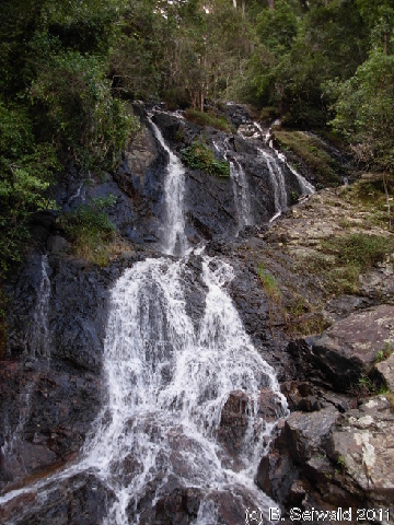 EW20110423 144110