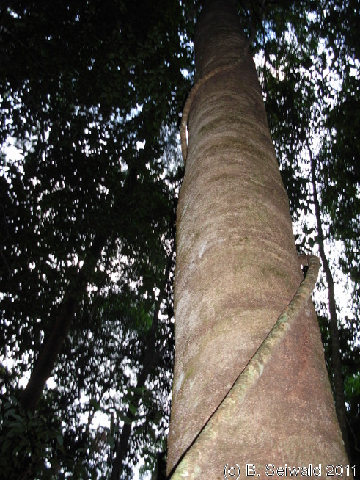 EW20110423 163515