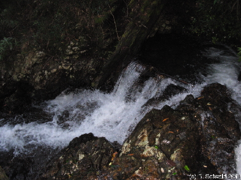 EW20110423 165720
