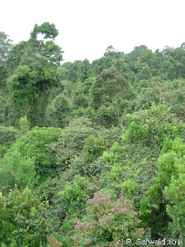 EW20110424 092105