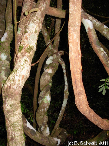 EW20110424 093325