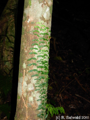 EW20110424 094026
