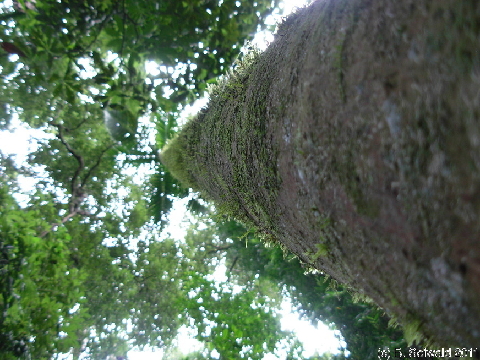 EW20110424 094901