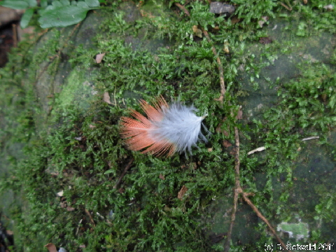 EW20110424 095552