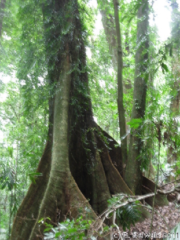 EW20110424 100314