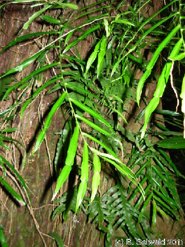 EW20110424 101025