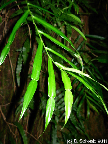EW20110424 101046