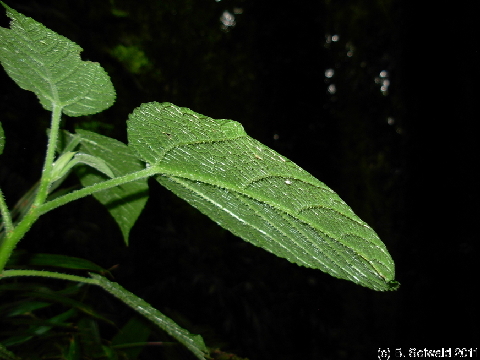 EW20110424 101258