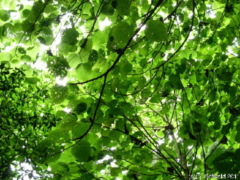 EW20110424 103338