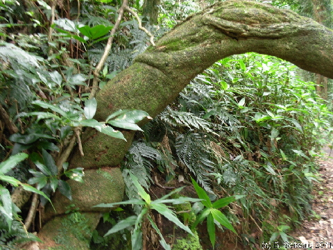 EW20110424 103649