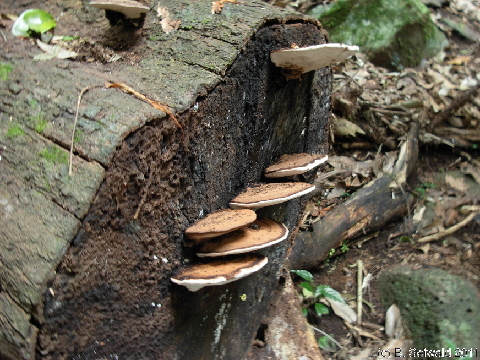 EW20110424 104025