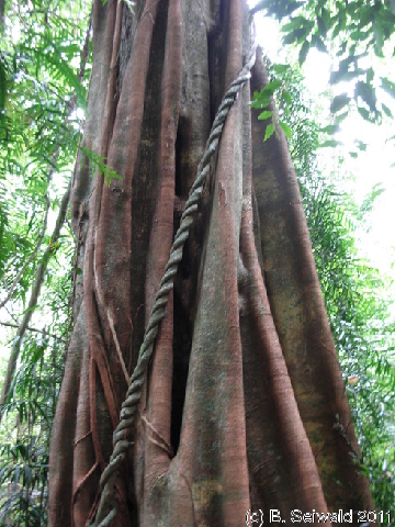 EW20110424 105044