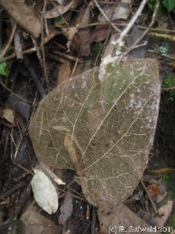 EW20110424 105132