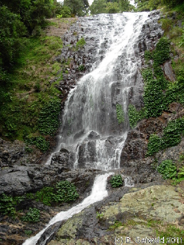 EW20110424 105555